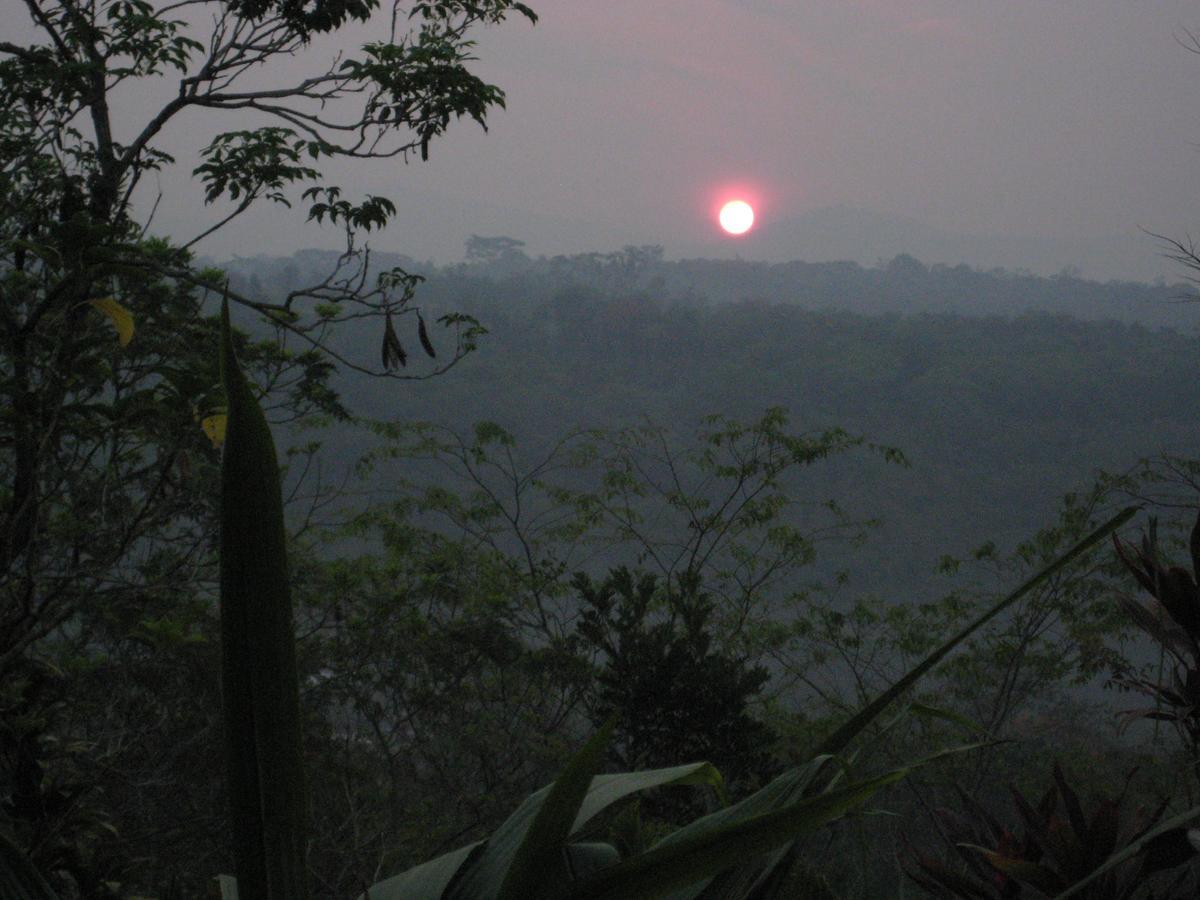 Yacumaman Sanctuary Villa Tarapoto Exteriör bild