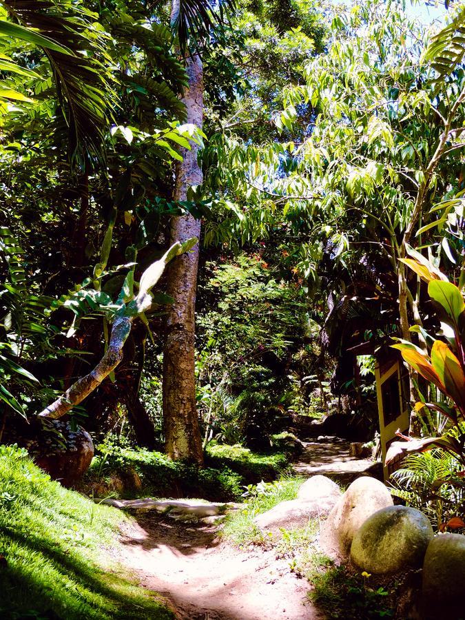 Yacumaman Sanctuary Villa Tarapoto Exteriör bild