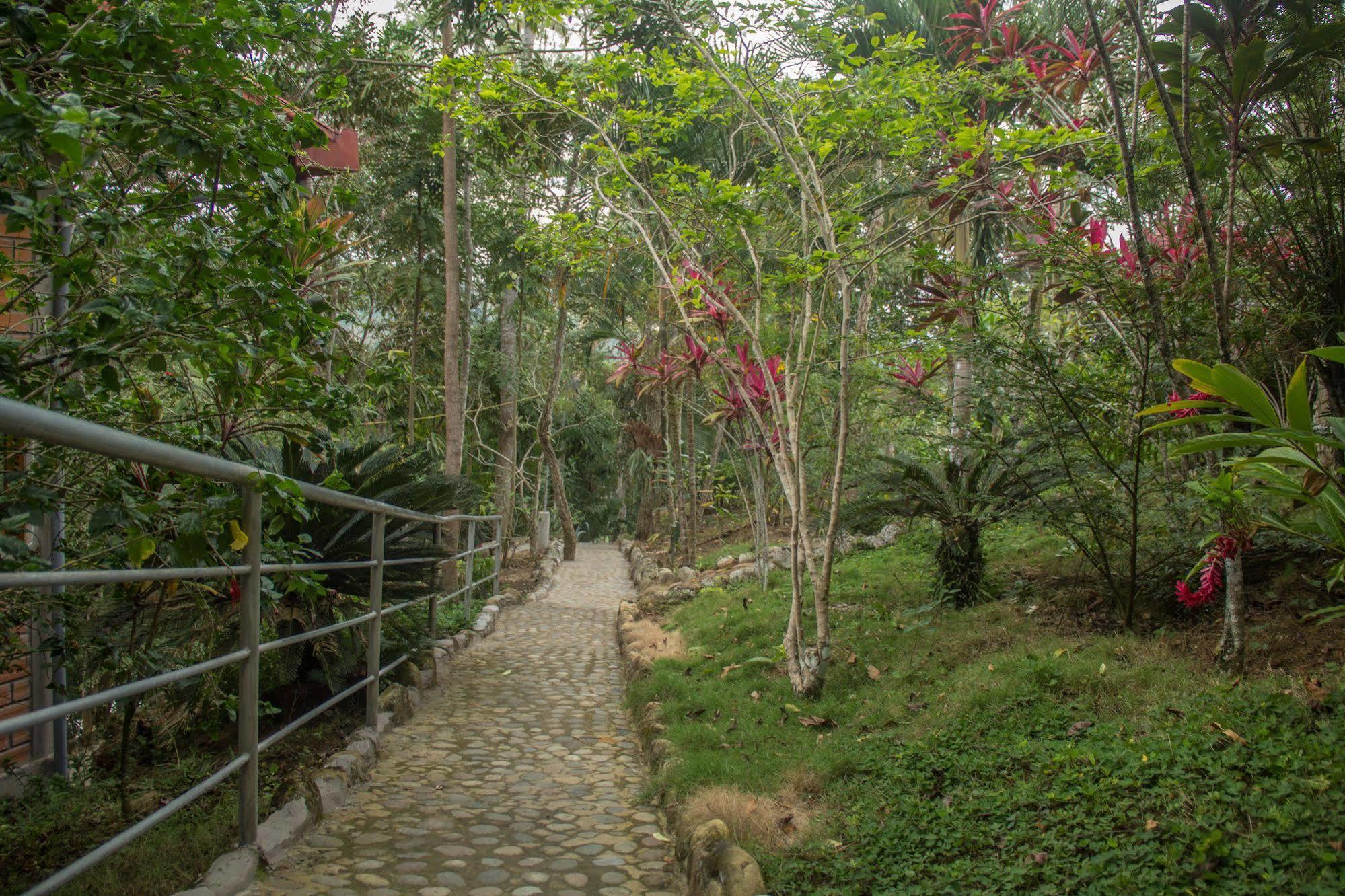Yacumaman Sanctuary Villa Tarapoto Exteriör bild