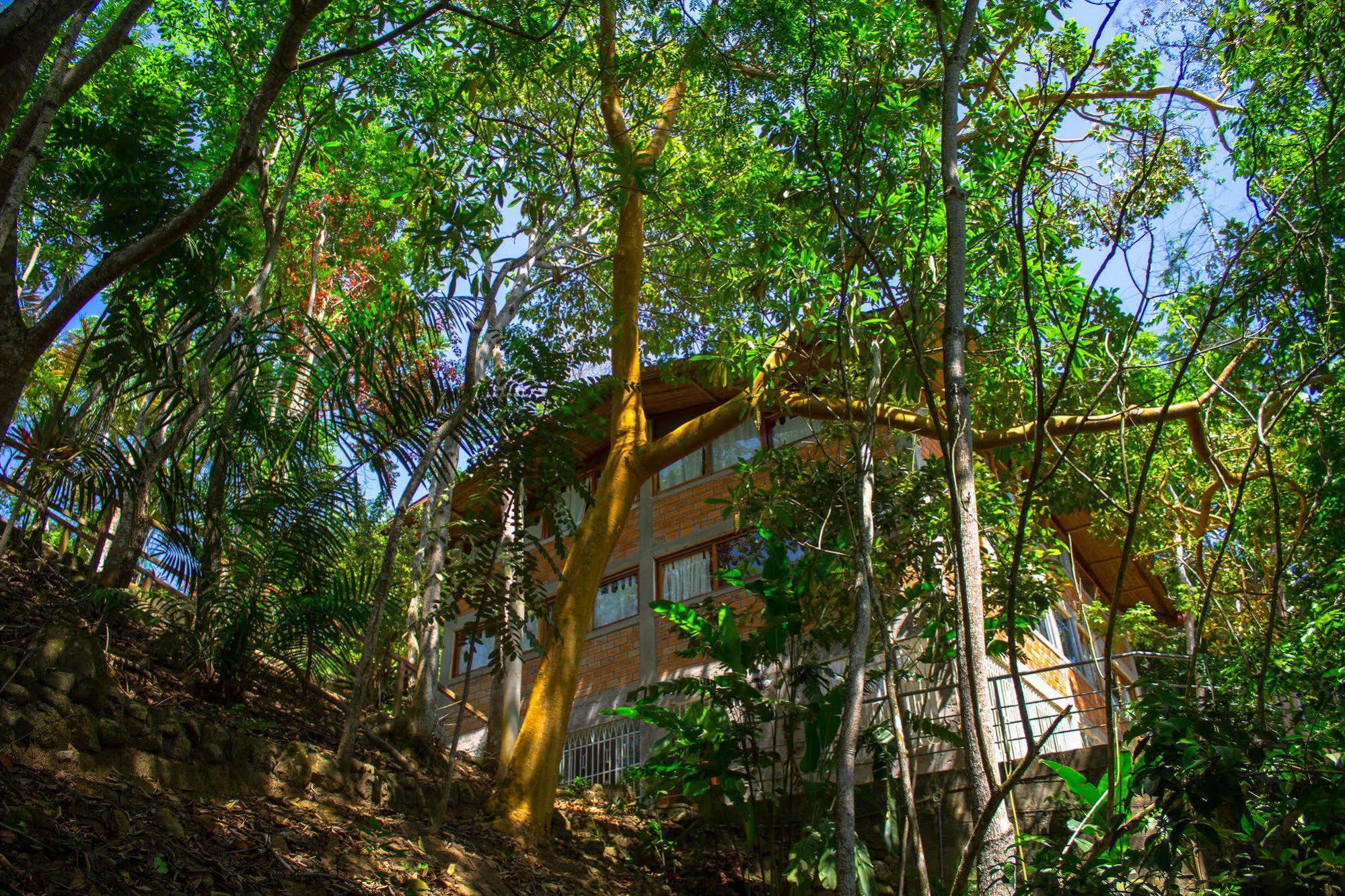 Yacumaman Sanctuary Villa Tarapoto Exteriör bild